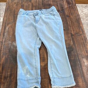 J. Jill Light Blue Ankle Jeans